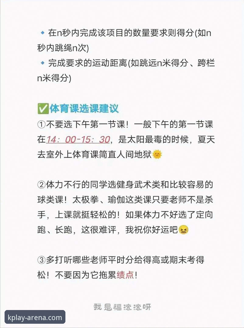 K体育电脑版与移动端对比及官网使用完整指南