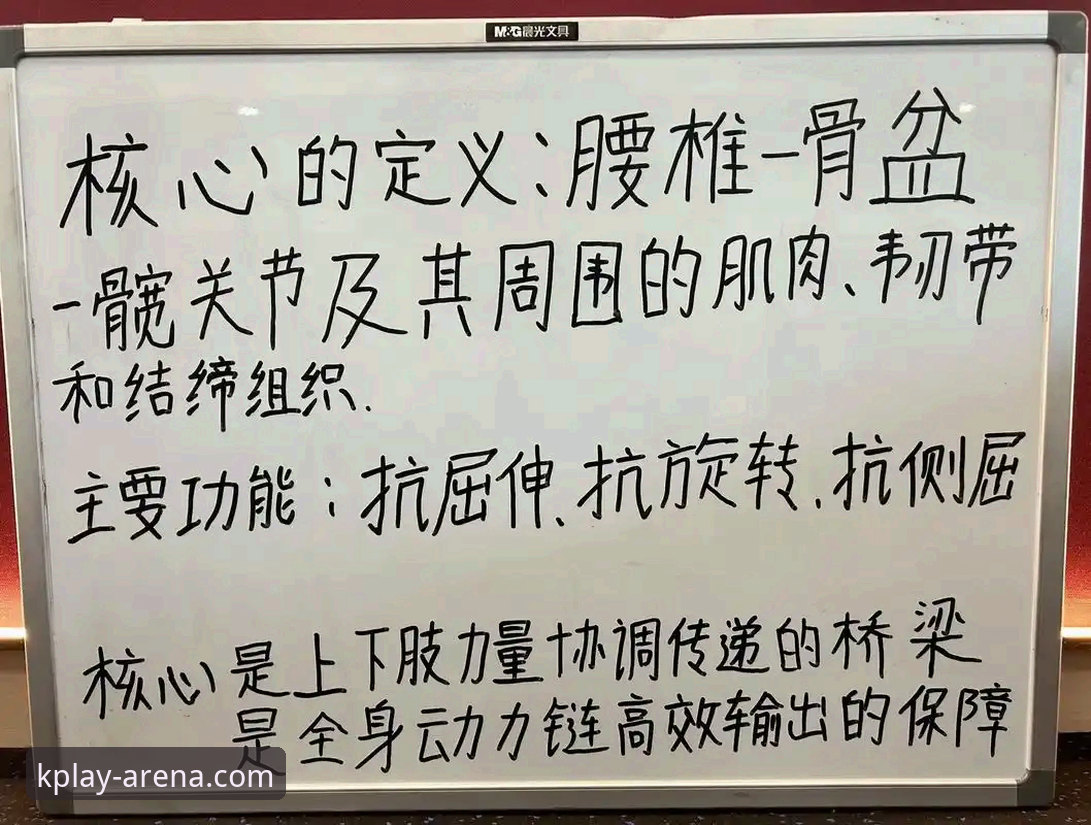新手必看：K体育资深用户分享的入门实战经验与使用心得